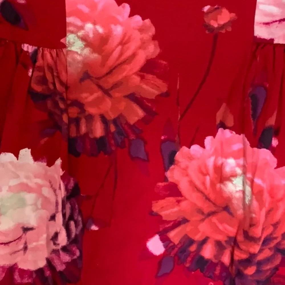 GAP Red Dress with Pink Floral Print in size 10 - Picture 2 of 3
